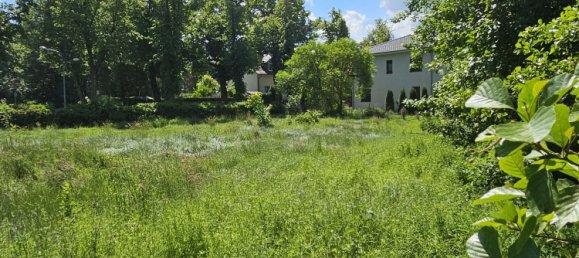  Land in Dahme-Spreewald, Germany No. 313527 10