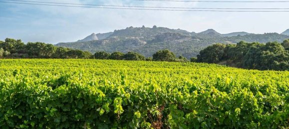 Terreno em Calangianus, Italy 250000 m² N.º 90294 6