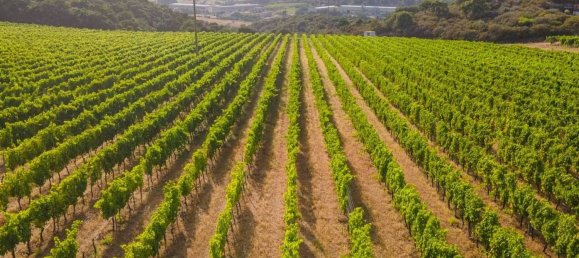 Terreno em Calangianus, Italy 250000 m² N.º 90294 3