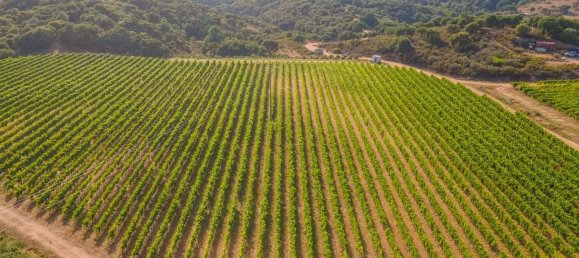 Terreno em Calangianus, Italy 250000 m² N.º 90294 4