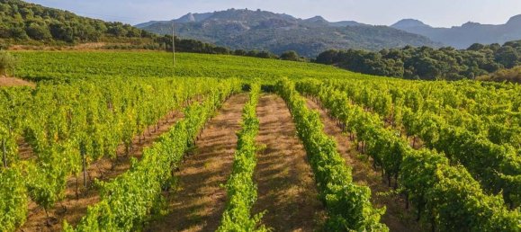 Terreno em Calangianus, Italy 250000 m² N.º 90294 13