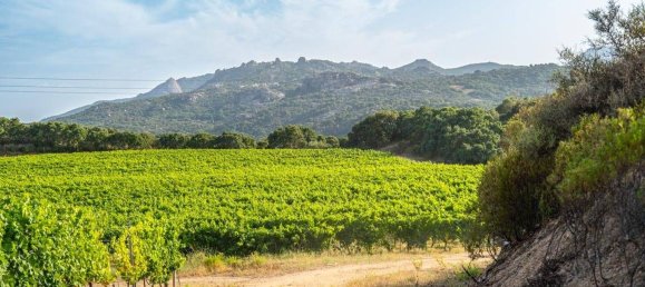 Terreno em Calangianus, Italy 250000 m² N.º 90294 20