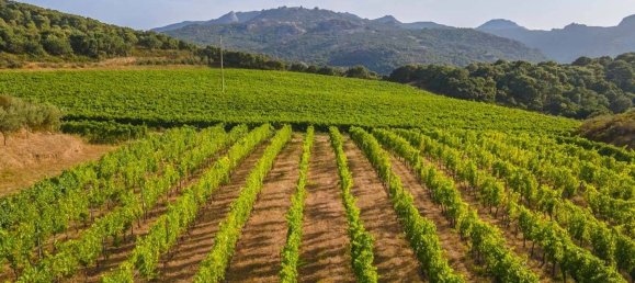 Terreno em Calangianus, Italy 250000 m² N.º 90294 2