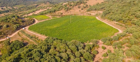 Terreno em Calangianus, Italy 250000 m² N.º 90294 8