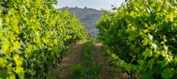 Terreno em Calangianus, Italy 250000 m² N.º 90294 14