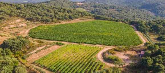 Terreno em Calangianus, Italy 250000 m² N.º 90294 10