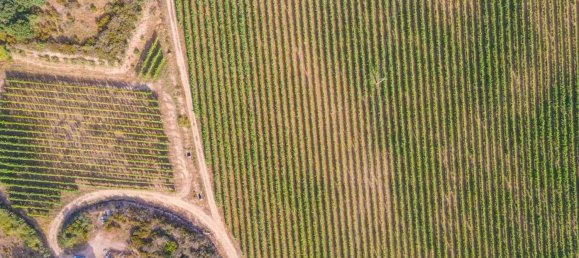 Terreno em Calangianus, Italy 250000 m² N.º 90294 22