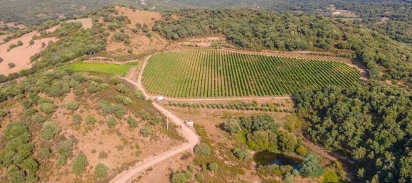 Terreno em Calangianus, Italy 250000 m² N.º 90294 23