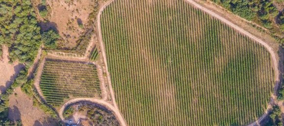 Terreno em Calangianus, Italy 250000 m² N.º 90294 24