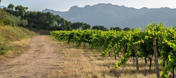 Terreno em Calangianus, Italy 250000 m² N.º 90294 19