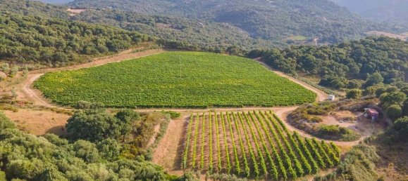 Terreno em Calangianus, Italy 250000 m² N.º 90294 9