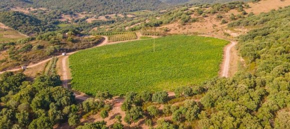 Terreno em Calangianus, Italy 250000 m² N.º 90294 7