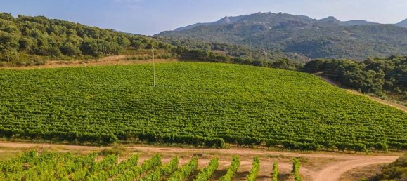 Terreno em Calangianus, Italy 250000 m² N.º 90294 12