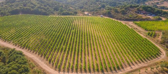 Terreno em Calangianus, Italy 250000 m² N.º 90294 5