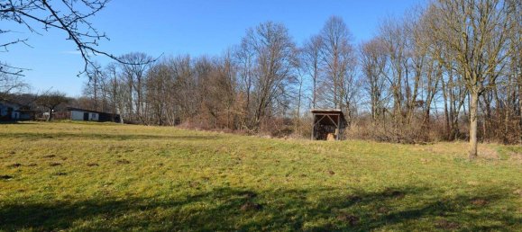 5 rooms House in Mureck, Austria No. 193485 15