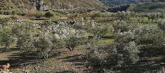 4 bedrooms House in Alcaucin, Spain No. 45137 20