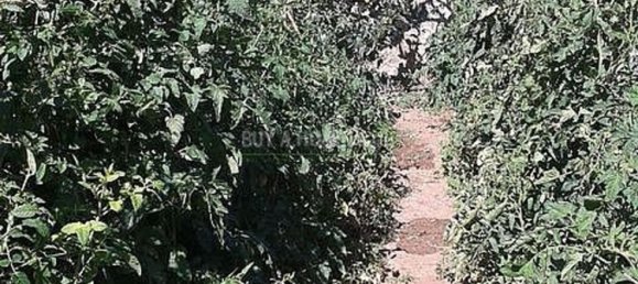 4 bedrooms House in Alcaucin, Spain No. 45137 25