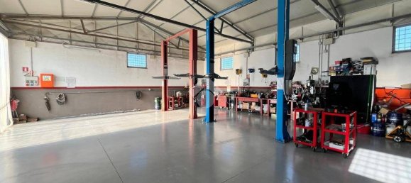 Almacén en Anzio, Italy 160 m² No. 259157 6