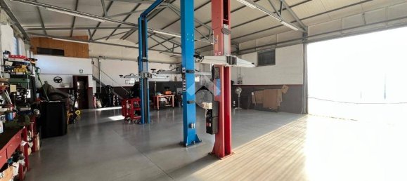 Almacén en Anzio, Italy 160 m² No. 259157 5