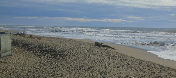 Квартира с 4 комнатами в Монтиньозо, Италия № 188979 18