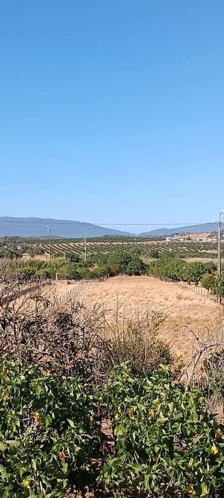 Grundstück in Odiaxere, Portugal, Nr. 342522