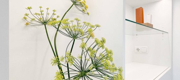 Bureau à Bregenz, Austria 22m² No. 87878 9