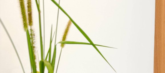 Bureau à Bregenz, Austria 22m² No. 87878 17