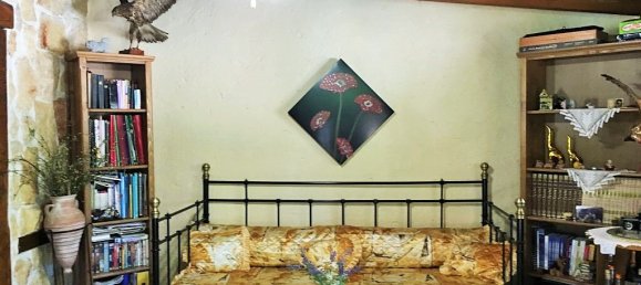 2 chambres Propriété commerciale à Chalkidiki, Greece No. 6267 10