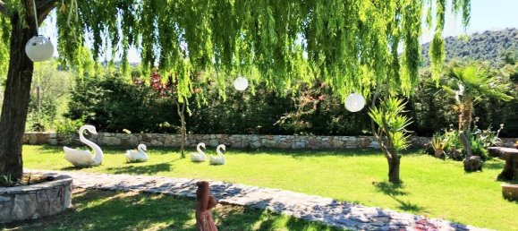 2 chambres Propriété commerciale à Chalkidiki, Greece No. 6267 20