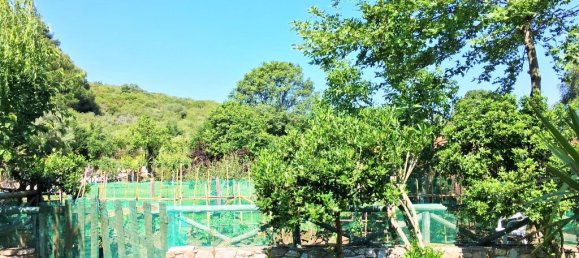 2 chambres Propriété commerciale à Chalkidiki, Greece No. 6267 18