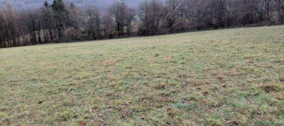 14547m² Land in Maria Anzbach, Austria No. 49089 11
