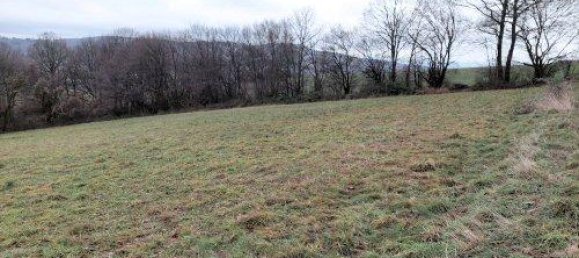 14547m² Land in Maria Anzbach, Austria No. 49089 10