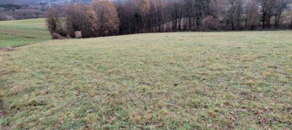 14547m² Land in Maria Anzbach, Austria No. 49089 9