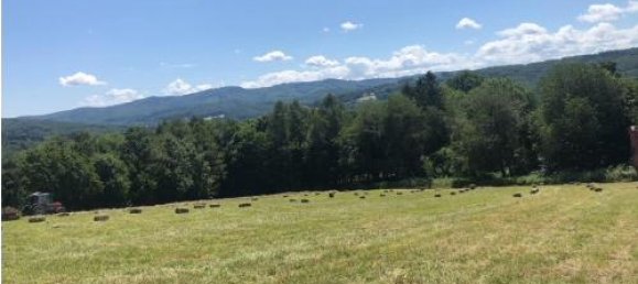 14547m² Land in Maria Anzbach, Austria No. 49089 6