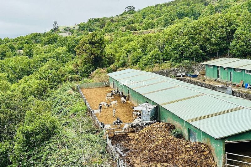  عقار تجاري في Tenerife, Spain رقم 263007