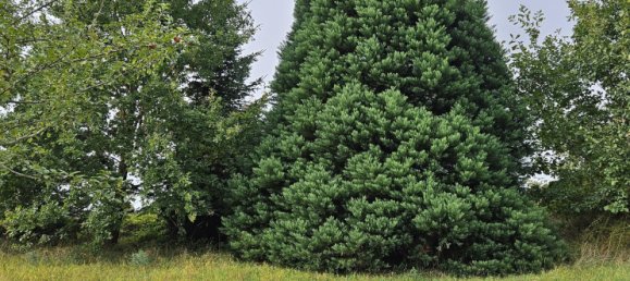 9 rooms Farm in Schwabisch Hall, Germany No. 2597 11