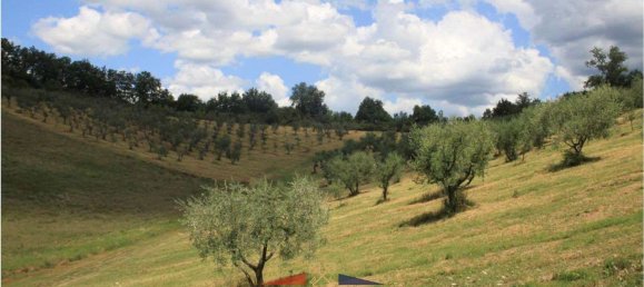 22 rooms Villa in Reggello, Italy No. 188369 11