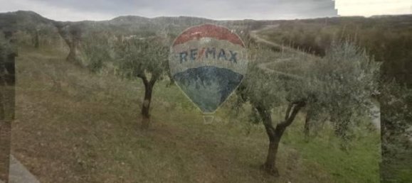 1 room Land in Pretoro, Italy No. 65638 12