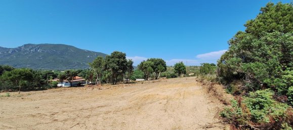 5064m² Land for sale in Corfu, Central Corfu and Diapontian Islands, Corfu, Ionian Islands, Peloponnese, Western Greece and the Ionian, Greece № 92897 7