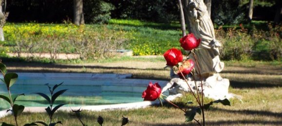 8 bedrooms Castles in Elvas, Portugal No. 105106 26