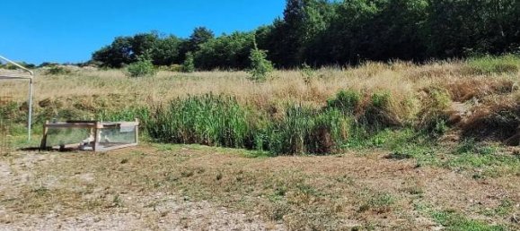 5 rooms Commercial property in Gualdo Cattaneo, Italy No. 271547 2