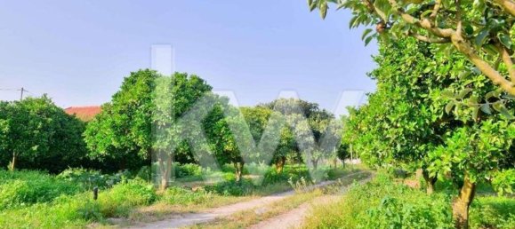 6 bedrooms House in Palmela, Portugal No. 71103 41