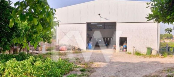 6 bedrooms House in Palmela, Portugal No. 71103 37