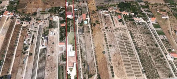 6 bedrooms House in Palmela, Portugal No. 71103 42