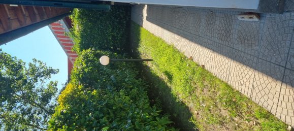 5-salle Villa à Fiumicino, Italy No. 261538 18