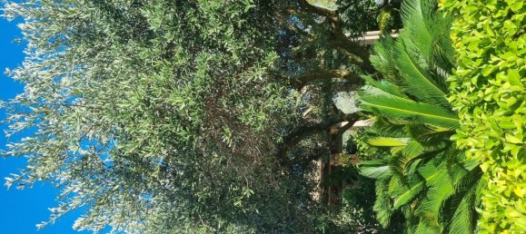 5-salle Villa à Fiumicino, Italy No. 261538 17