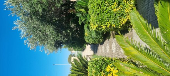 5-salle Villa à Fiumicino, Italy No. 261538 12