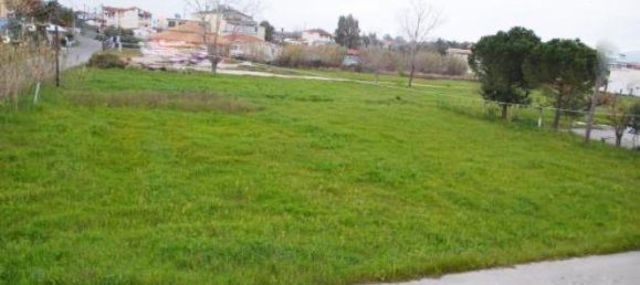 Hotel in Zakynthos, Greece, Nr. 492 2