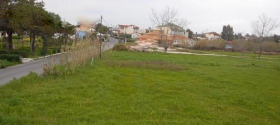 Hotel in Zakynthos, Greece, Nr. 492 3