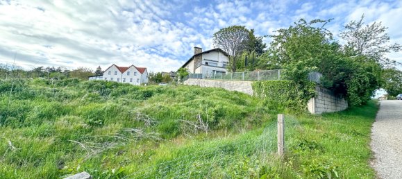  Land in Leobendorf, Austria No. 135113 3